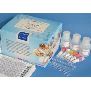 Plasmid Detection Kanamycin Fine Test Elisa Kit high repetitive