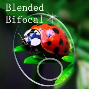 Bifocal lens