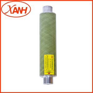 Insert Dual Element Time Delay Current Limiting Fuse 12Kv Fuse 1 Pole