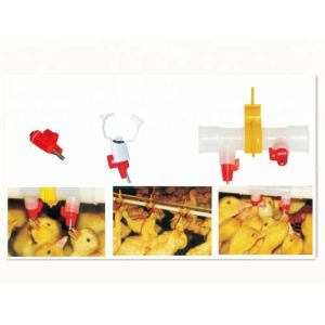 chicken drinker for farm automatic poultry plastic drinking line