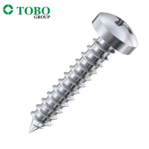 Stainless Steel Cross Recessed Raised Countersunk Head \ Countersunk Head \ Pan