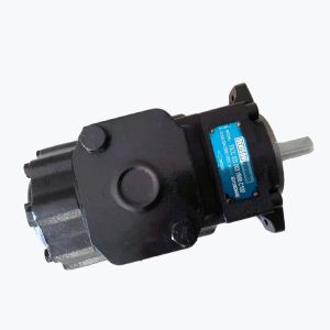 Quality Double Industrial Vane Pump Denison T6CCM T6DCM T6ECM T6EDM T6EEM for sale