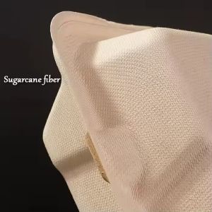 Custom Order Biodegradable Sugarcane Bagasse Clam Shell Burger Containers for