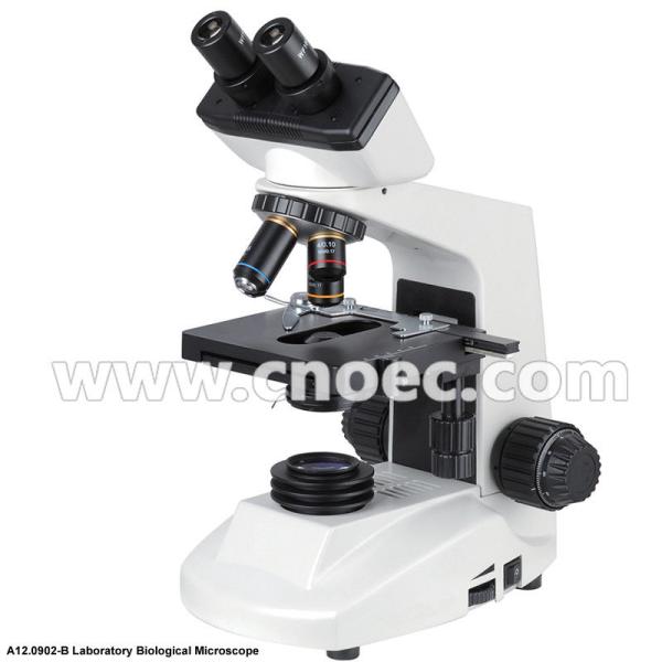 Monocular / Binocular Biological Microscope With Low Position Coaxial Coarse A12.0902