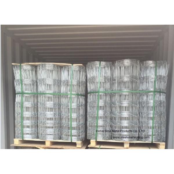 Cattle Farming Fence / Hot-Dipped Filed Wire Mesh Fence For Poultry