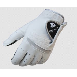 Golf Gloves