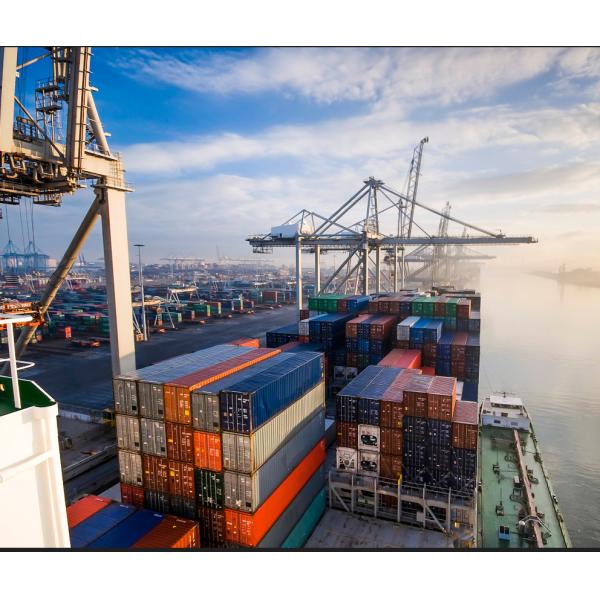 Buy Sea Freight Efficient Customs Clearance at wholesale prices