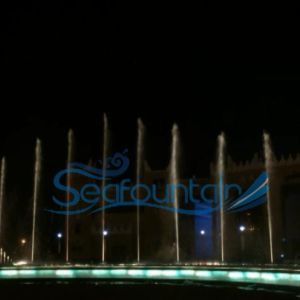 Marry accessory water fountain changed