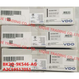 Quality Common Rail Injector BK2Q-9K546-AG / BK2Q9K546AG / A2C59517051 / 1746967 for sale