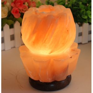 OEM Carved Himalayan Salt Lamp With Solid Wooden Base
