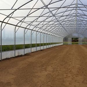 Tomato Poly Greenhouse Agricultural Tunnel Plastic Greenhouse For Drip