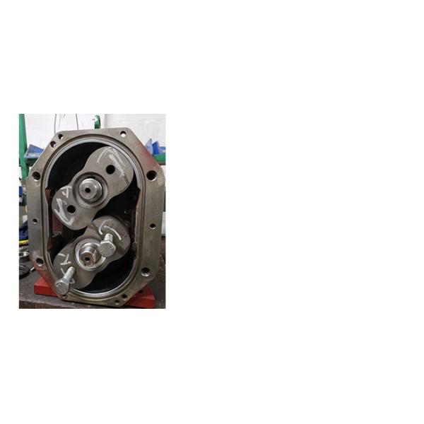 Corrosion Resistant Biogas Pump Antiwear Multipurpose 32-80m3/H