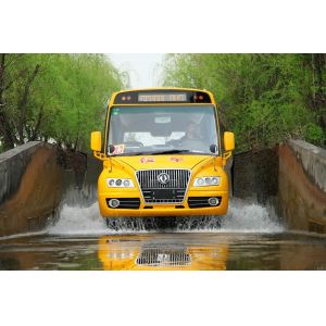 Euro4 Dongfeng 4x2 EQ6660S4D School Bus