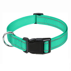 Woven Logo Puppy Flashing Collar
