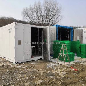 Advanced 500kg/day Hydroponic Fodder Machine for Livestock Forage Grass Barley