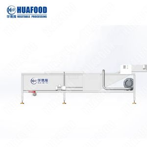 Cina HFD-2500 Capacity:500kg/h manufacturer sugarcane washing machine fruit