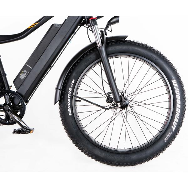 52V 1000W Bafang Motor 17AH Lithium 55KM/H Rear Hub Snow Fat Tire Mountain Electric Bike