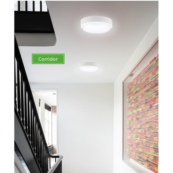 Modern LED Bulkhead Ceiling Lights For Bathroom / Outdoor 80lm / W RA80