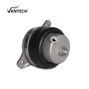 Air Suspension Shock Air Suspension Spring MK493369 MK493360 MK596472 Replaced