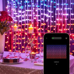 12V RGBIC LED Curtain Lights WiFi Bluetooth Controlled Multiple Scene Modes