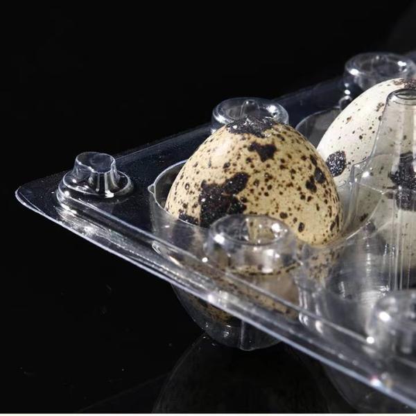 Hinged Plastic Egg Packaging Blister Clamshell 30 Hole Transparent Quail Egg Tray