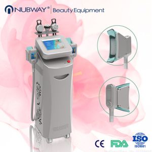 Vertical Cryolipolysis Slimming Machine/The Newest Cryolipolysis