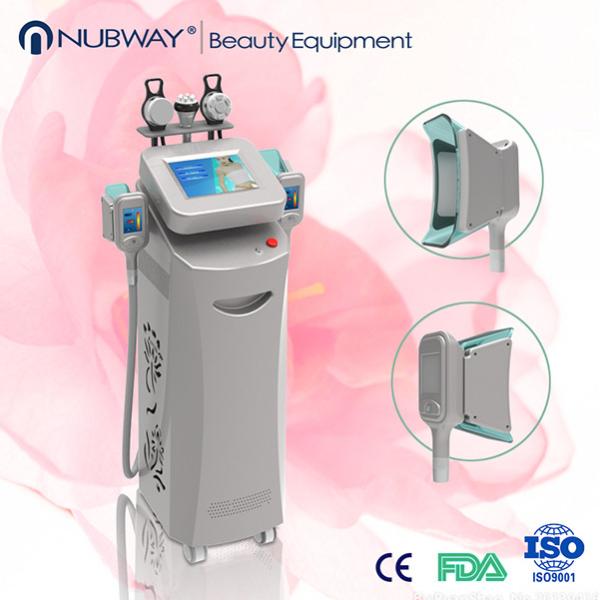 Buy Vertical Cryolipolysis Slimming Machine/The Newest Cryolipolysis at wholesale prices