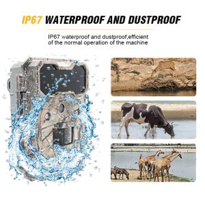 Infrared HD Hunting Cameras Waterproof 4G Wildlife Scouting Camera