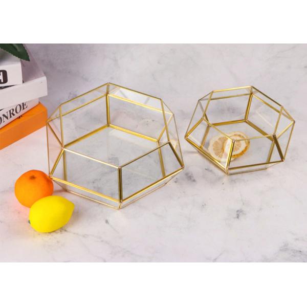 Brass copper glass artifact rimmed Display box hexagonal geometric plant
