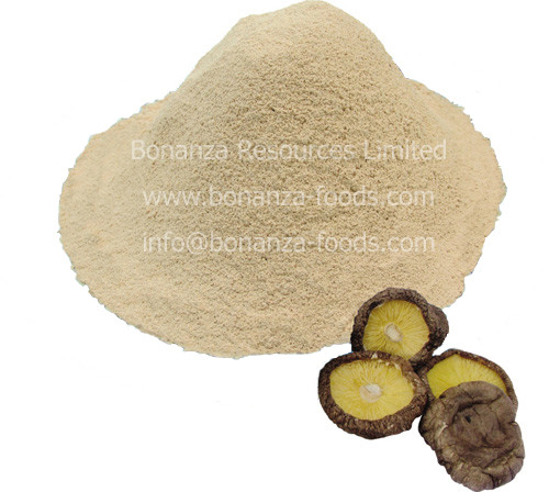 Buy Sell Certified Kosher Soup Ingredient Freeze Dried Shiitake Mushroom Powder at wholesale prices