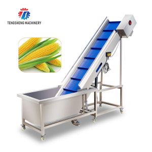 Lifting and conveying of fruit and vegetable pre-foaming materials for