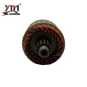 IM3039 139352 618311 Car Starter Motor Armature 12V
