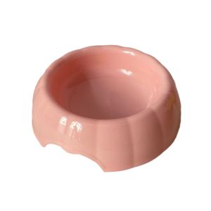 Stylish Pumpkin Pet Bowls - Enhancing Modern Pet Spaces