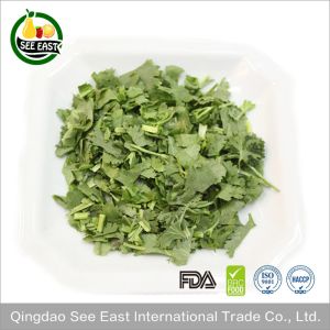 Dehydrated Herbs Dried Parsley Leaves 2-4 mm