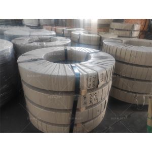 DLX N4 N6 Pure Nickel Strips with High Conductivity & Low Vapor Pressure