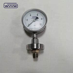 Direct Bottom Mounting Diaphragm Pressure Measuring Device 1/4 1/2" Inch NPT BSP