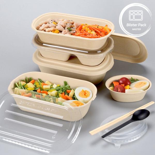 Biodegradable 2 Compartment Bagasse Sugarcane Bento Box - Sustainable Disposable