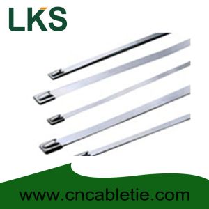 4.6*200mm 316 grade Ball-lock ss cable ties