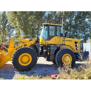China Used SDLG Loader for sale Second Hand L955F Jindongyu Machinery