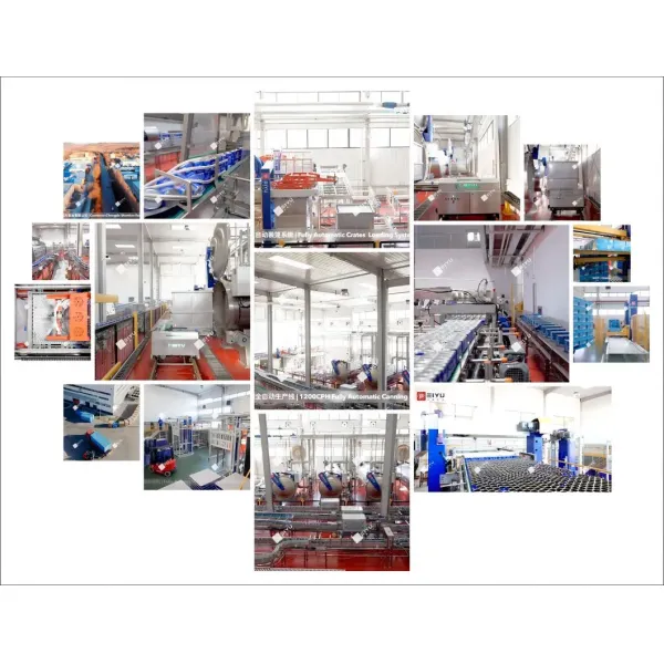 Glass Bottle Depalletizer for Juice Drink Production Line