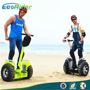 Quality 72 V Brushless Motor Two Wheel Electric Chariot for sale