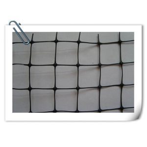 PP Raw Material Garden Trellis Net , UV Treated Garden Mesh For Climbing Plants