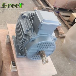 5mw 3mw Permanent Magnet Synchronous Motor 6 Poles