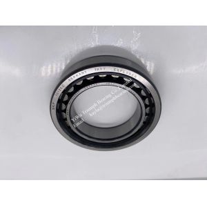 Single Row Cylindrical roller bearings, NU1012 ECP ，NU1014 ECP