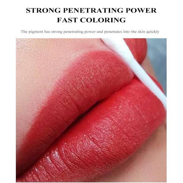ODM Permanent Makeup Pigments Organic Lip Eyebrow Microblading Tattoo Ink