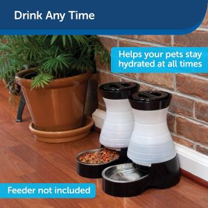 Stainless Steel Automatic Pet Food Station With Microchip