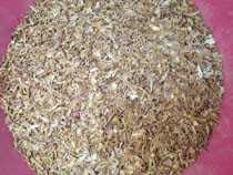 Wenyao CCD RGB Cashew Nut Colour Intelligent Sorting Machine for Grain Sorting in Throughput 5-8t/h