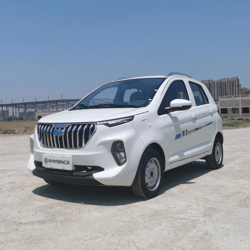 Raysince factory hot sales model 5 door electric car adult vehicle 4 Seats electric vehicles for sale