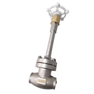 Stainless Steel 304 CF8 DN65 Cryogenic Globe Valve