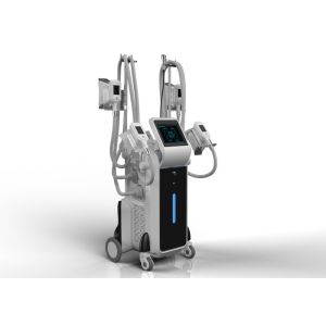 CE TGA certification high efficient fat removal body shaping cryolipolysis